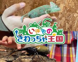 「【関東】2025年夏休みに行きたい！おすすめ「昆虫館・昆虫スポット」7選　ふれあいも」の写真
