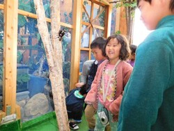「【関東】2025年夏休みに行きたい！おすすめ「昆虫館・昆虫スポット」7選　ふれあいも」の写真