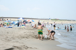 「【新潟】2025年夏休みに行きたい！おすすめ水遊びスポット12選　人気＆穴場＆無料も」の写真