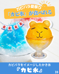 「新宿で本物カピバラとふれあえる！　すべて無料で楽しめる1日限定の夏祭りが開催！」の写真