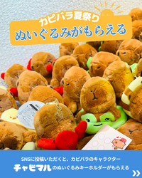 「新宿で本物カピバラとふれあえる！　すべて無料で楽しめる1日限定の夏祭りが開催！」の写真
