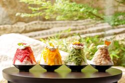 （左から）「イチゴ」 2,700円、「マンゴー ココナッツ」 2,900円、「宇治抹茶」 2,900円、「ロイヤルミルクティー」 2,700円