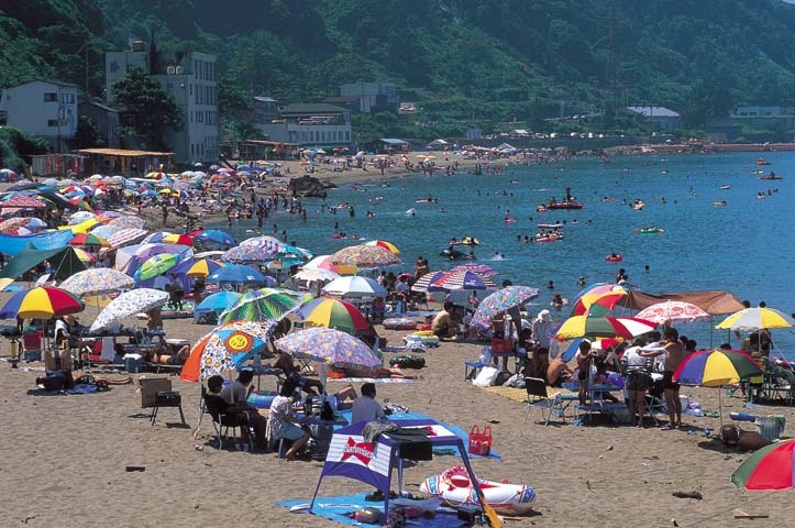 提供：公益社団法人福井県観光連盟
