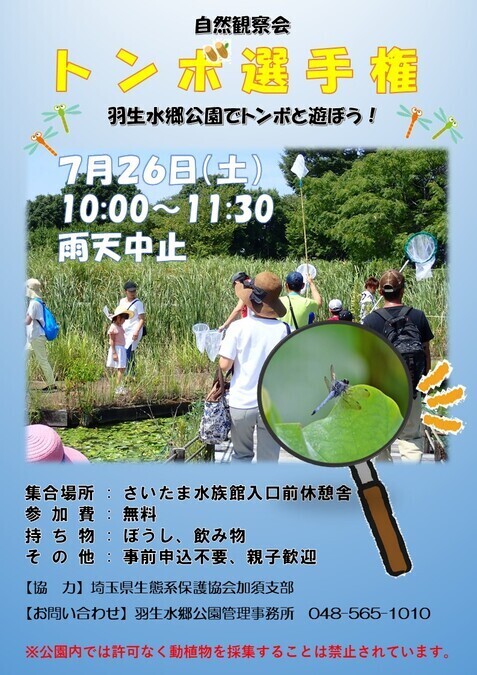 トンボ選手権