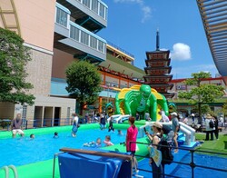 過去の開催の様子