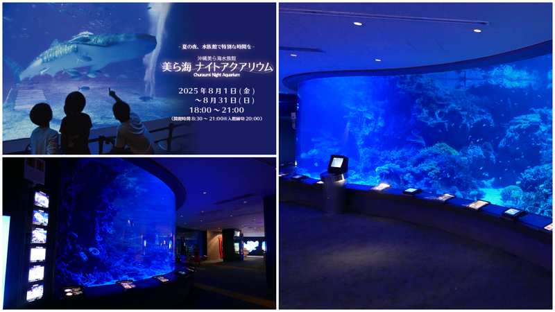 幻想的な水槽ライティング