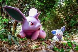「よみうりランドにポケモン初の常設施設「ポケパーク カントー」が2026年春開業決定！」の写真