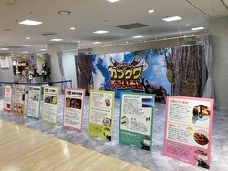 「大丸福岡天神店でカブトムシ＆クワガタふれあい体験イベント！　販売＆キッチンカーも」の写真