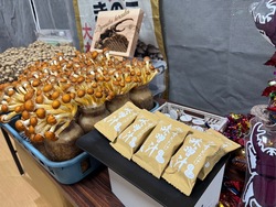 「大丸福岡天神店でカブトムシ＆クワガタふれあい体験イベント！　販売＆キッチンカーも」の写真