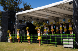 「福岡県北九州市で和牛グルメと花火が楽しめる「食肉祭 × WAGYU FES 2025」が開催決定」の写真