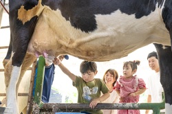 「【飯能周辺】7月26日・27日の今週末のおでかけにもおすすめ！人気スポットランキング」の写真