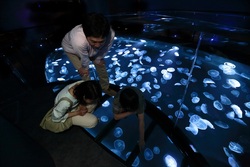 「【浅草周辺】7月26日・27日の今週末のおでかけにもおすすめ！人気スポットランキング」の写真