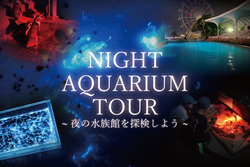 「南知多ビーチランドでナイトアクアリウムツアー開催　懐中電灯を持って夜の水族館巡り」の写真