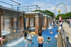 「茨城県「国営ひたち海浜公園」に水遊び広場がオープン　緑のコキアとジニアの花も見頃」の写真