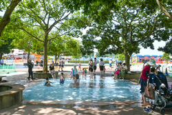 「茨城県「国営ひたち海浜公園」に水遊び広場がオープン　緑のコキアとジニアの花も見頃」の写真