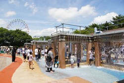 「茨城県「国営ひたち海浜公園」に水遊び広場がオープン　緑のコキアとジニアの花も見頃」の写真
