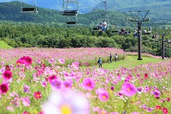 「長野信濃町の高原リゾートに屋外遊びエリア「黒姫の森プレイランド〜Soto〜」がOPEN！」の写真