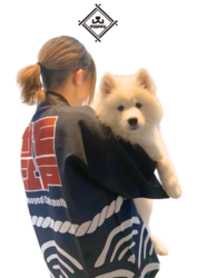 「関東近郊の犬とふれあえる施設10選　動物園・テーマパーク併設も」の写真