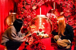 「新潟の朱鷺メッセで錦鯉と金魚の幻想アクアリウム開催！　デジタルコンテンツや学びも」の写真