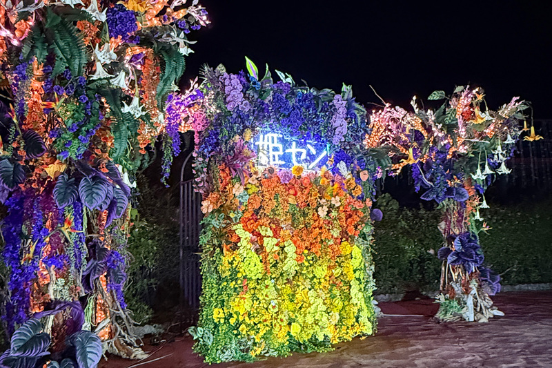 夕日の花壇