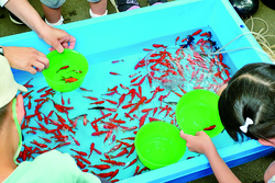 「天神の岩田屋本店に水族園オープン！　海の生きものたちとふれあえる＆化石発掘体験も」の写真