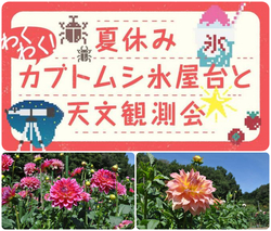 カブトムシ氷屋台と天体観測会