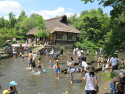 「【東海】2025年夏休みに行きたい！おすすめ水遊びスポット17選　人気＆穴場＆無料も」の写真