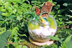 「玉川高島屋で恐竜イベント開催！恐竜くんトークショーとワークショップで夏休みを満喫」の写真