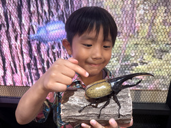 「【関東】2025年夏休みに楽しめる！おすすめ昆虫展＆昆虫イベント17選 ふれあい体験も」の写真
