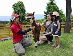 「【阿蘇周辺】8月2日・3日の今週末のおでかけにもおすすめ！人気スポットランキング」の写真