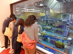 「【彦根周辺】8月2日・3日の今週末のおでかけにもおすすめ！人気スポットランキング」の写真