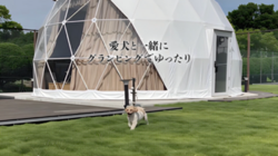 「千葉県東金市に愛犬と泊まれるグランピングリゾートOPEN！　巨大屋内遊び場＆プールも」の写真