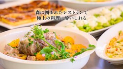 「千葉県東金市に愛犬と泊まれるグランピングリゾートOPEN！　巨大屋内遊び場＆プールも」の写真