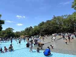 「巨大やぐらを囲んで盆踊り！　埼玉「国営武蔵丘陵森林公園」西口ひろばで夏まつり開催」の写真