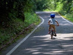 「巨大やぐらを囲んで盆踊り！　埼玉「国営武蔵丘陵森林公園」西口ひろばで夏まつり開催」の写真
