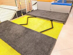 「クロスポ八王子店がリニューアル！　室内で本格パルクールに挑戦できる新コースが登場」の写真