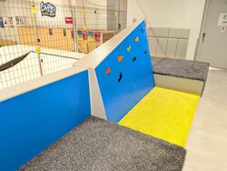 「クロスポ八王子店がリニューアル！　室内で本格パルクールに挑戦できる新コースが登場」の写真