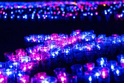 「新潟県小千谷市で夏から冬まで楽しめるイルミネーションイベント「オヂヤホタル」開催」の写真