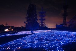 「新潟県小千谷市で夏から冬まで楽しめるイルミネーションイベント「オヂヤホタル」開催」の写真