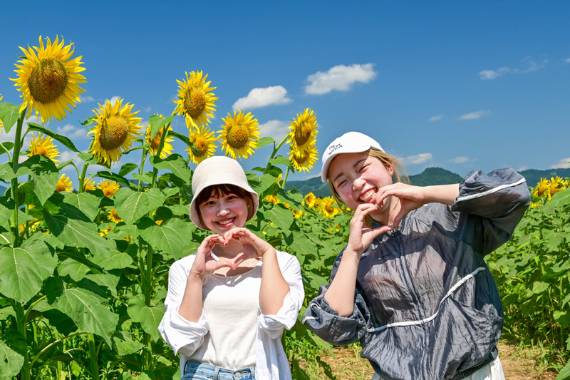 津南ひまわり広場
