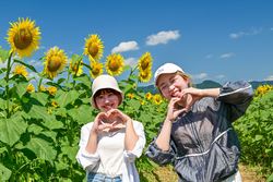 津南ひまわり広場