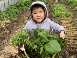 「三重県・VISONでパン作りや野菜収穫、木工体験など親子で体験しよう！温泉やグルメも」の写真