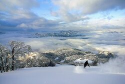 「福井県のスキージャム勝山で夏山リフト無料運行　標高1000mの絶景＆山の日イベントも」の写真