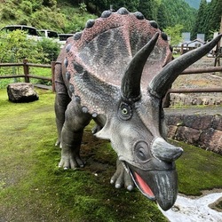 「【和歌山】8月9日～11日の三連休おでかけにもおすすめ！人気スポットランキング」の写真