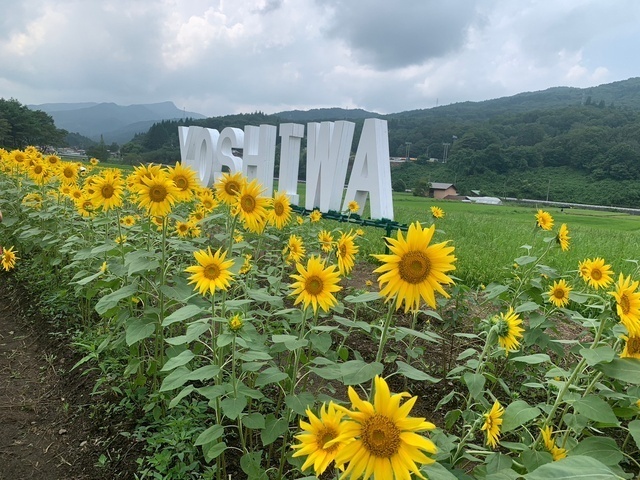 吉和夏まつり