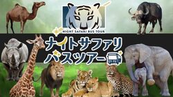 「【関東】2025年8月＆夏休みに楽しめる「夜の動物園＆ナイトサファリ」9選」の写真