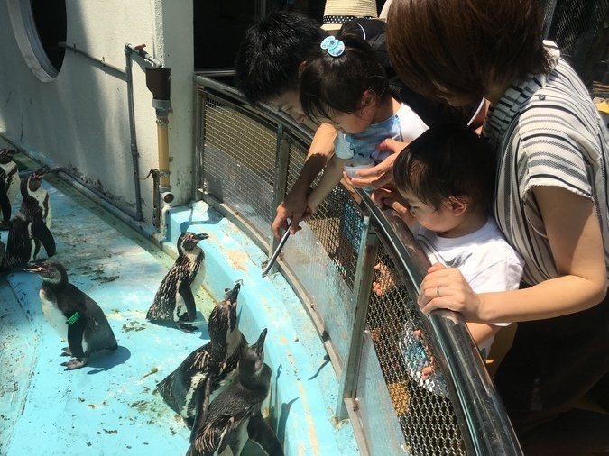 桂浜水族館