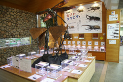 「夏休みの自由研究にぴったり！　静岡磐田市で「世界のカブト・クワガタ展」が開催中！」の写真