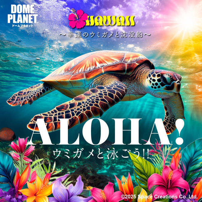 開催中の「ハワイ〜幸運のウミガメと沈没船〜」のイメージ