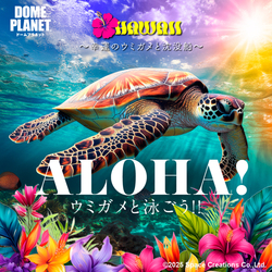 開催中の「ハワイ〜幸運のウミガメと沈没船〜」のイメージ